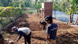 WhatsApp Image 2025-07-12 at 16.29.30 (3)