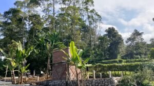 WhatsApp Image 2025-07-12 at 16.29.30